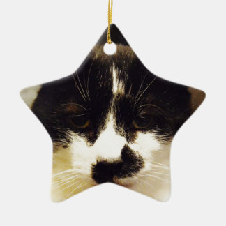 monty black and white cat ornaments tuxedo cat christmas ornaments
