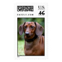 Monty the Dog postage by Lola121625 Monty the Dog postage