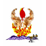 Monument Fire Arizona Shirts