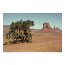 monument Valley Photograph
