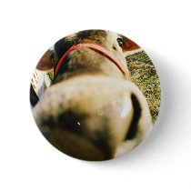 Moo Cow! buttons by Mako118 Moo Cow! buttons
