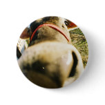 Moo Cow! buttons
