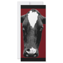 moo deep red rack cards