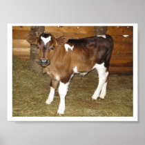 MOO-dy Poster