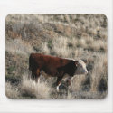 Moo lookin' at me? mousepads