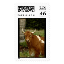 Moo postage by CloudNinePhoto Moo postage