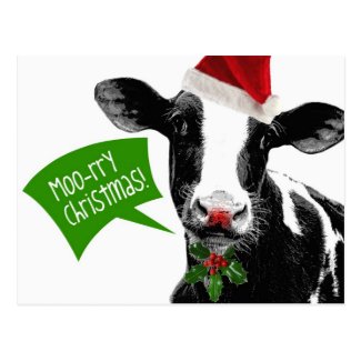 Moo rry Christmas! Funny Holiday Cow in Santa Hat Post Card