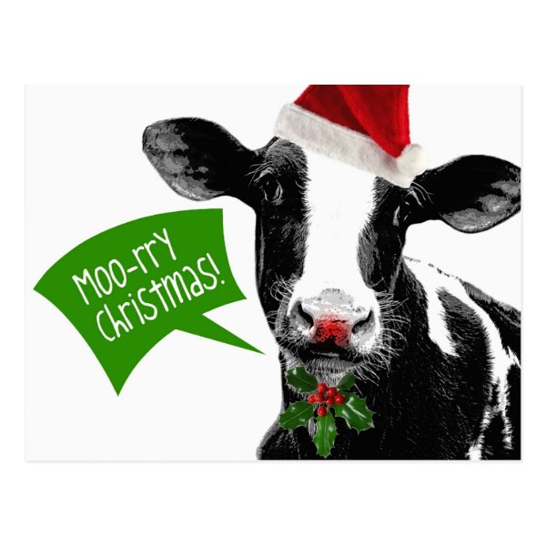 Moo rry Christmas! Funny Holiday Cow in Santa Hat Post Card