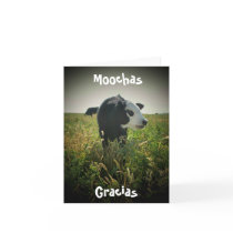 Moochas Gracias Greeting Cards