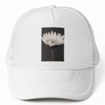 mood pool hats