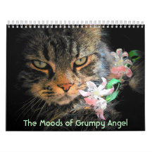 Moods of a Grumpy Angel Wall Calendars
