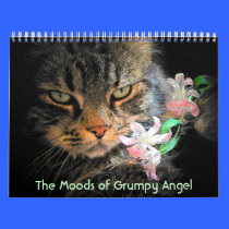 Moods of a Grumpy Angel calendars