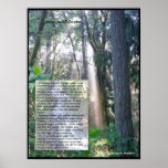Moods of Green Posters