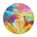 Moods of Motion magnet