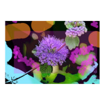 Moody Bloom posters