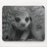 Moomins pup mousepad - Customized
