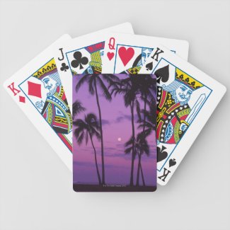 Moon and Palm Tree Bicycle Poker Cards