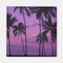 Moon and Palm Tree Fridge Magnet