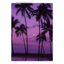 Moon and Palm Tree Greeting Card