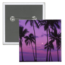 Moon and Palm Tree Pinback Button