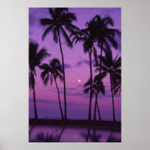Moon and Palm Tree Print