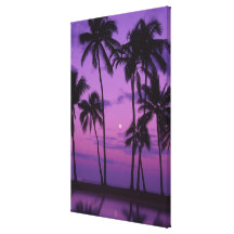Moon and Palm Tree Stretched Canvas Prints