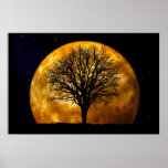 Moon and Tree Poster-Customizable