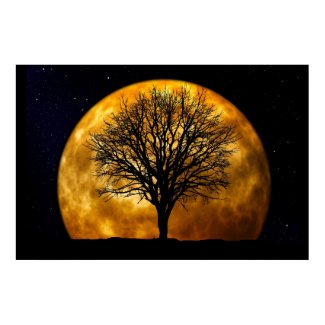 Moon and Tree Poster-Customizable Print