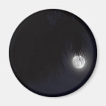 Moon At Ocean Beach Refrigerator Magnets