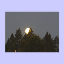 Moon at Sunrise Postcard by shawke123 Moon at Sunrise Postcard