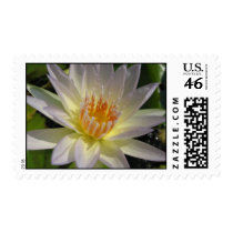 Moon Beam stamps