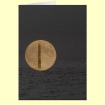 Moon bird cards by Rainmountain Moon bird cards