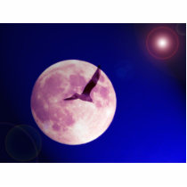 moon bird photo sculptures