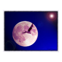 Moon Bird posters