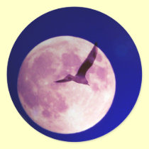 Moon bird stickers