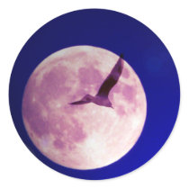 Moon bird stickers