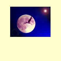 Moon bird t-shirts