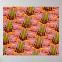 Moon Cactus Framed Poster
