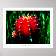 Moon Cactus (luminescent) Posters