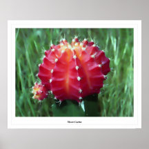Moon Cactus Print