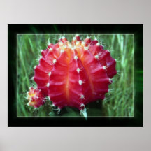 Moon Cactus Poster