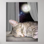 Moon Cat posters