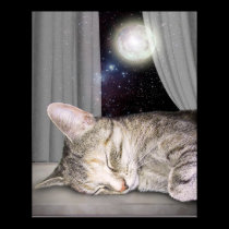 Moon Cat posters