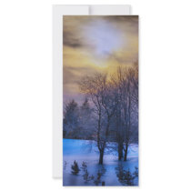 Moon Dance 2600 rack cards by BuckCash Moon Dance 2600 rack cards