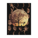 Moon Dance postcards by Jaenne Moon Dance postcards