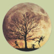 Moon Dance Sticker
