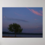 Moon Dancing With Tree Poster
