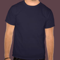 Moon Dragon t-shirts