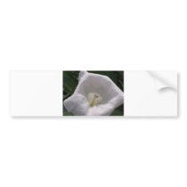 Moon Flower bumper stickers by Nightcat2020 Moon Flower bumper stickers