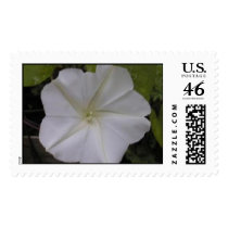 Moon Flower postage